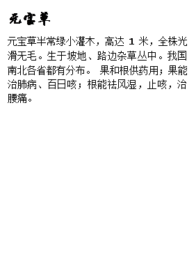 文本框: 元宝草元宝草半常绿小灌木,高达1米,全株光滑无毛。生于坡地、路边杂草丛中。我国南北各省都有分布。 果和根供药用;果能治肺病、百日咳;根能祛风湿,止咳,治腰痛。